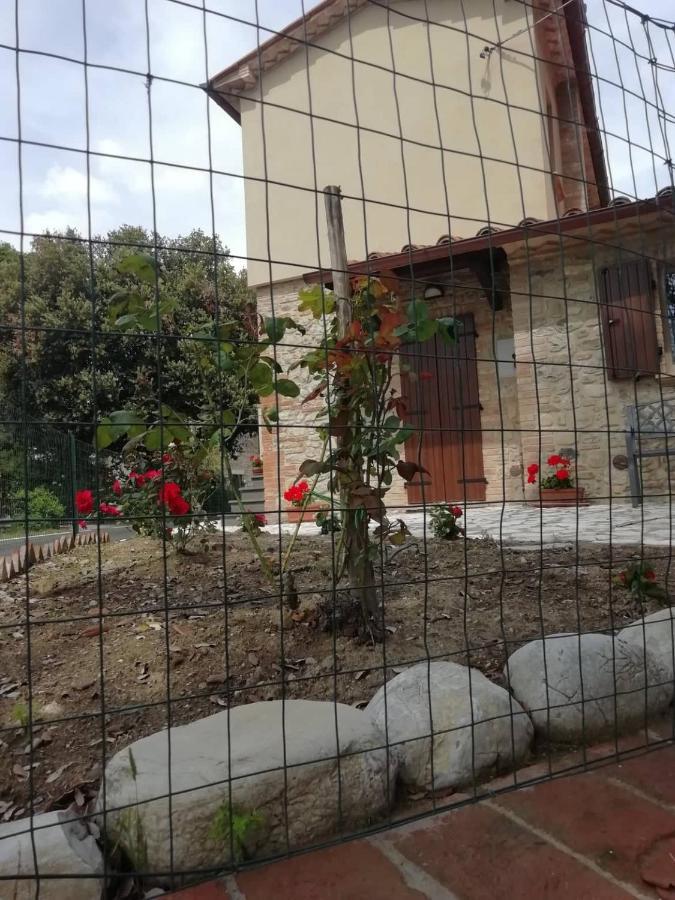 La Casetta Della Letizia Colle  Zewnętrze zdjęcie